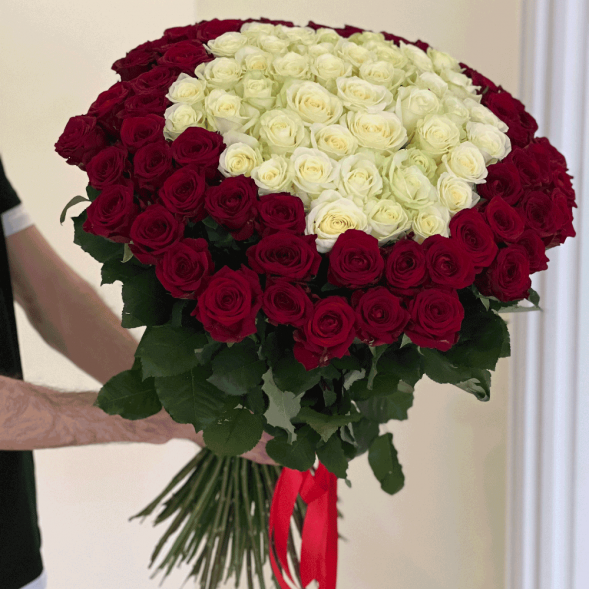 101 роза красная и в середине белая в Приморском