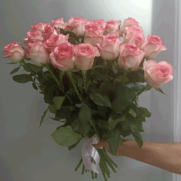 21 нежно-розовая роза, лента в Приморском