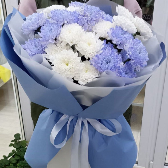 7 белых и голубых хризантем  в Приморском