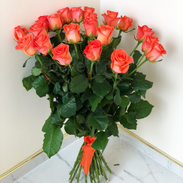 21 коралловая роза, лента в Приморском