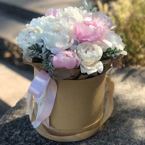 Пионы в шляпной коробке в Приморском