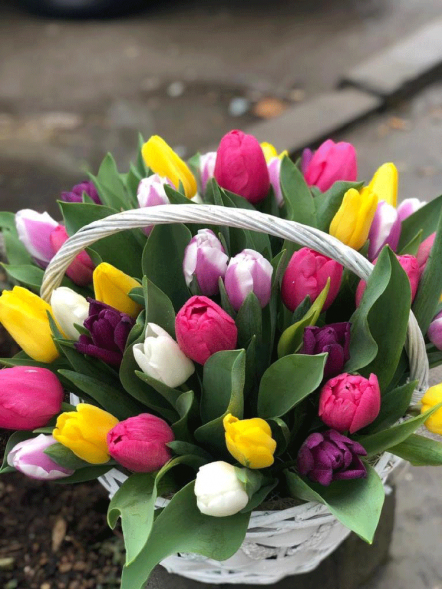 41 тюльпан микс в корзине в Приморском
