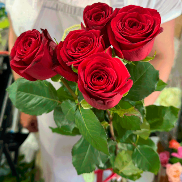 5 красных роз в Приморском