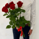 5 красных роз в Приморском