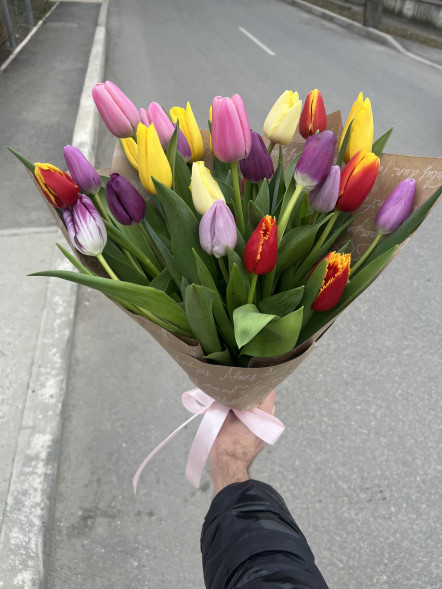 25 тюльпанов микс в упаковке в Приморском