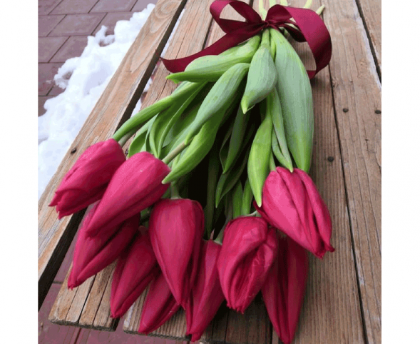 11 красных тюльпанов, лента в Приморском