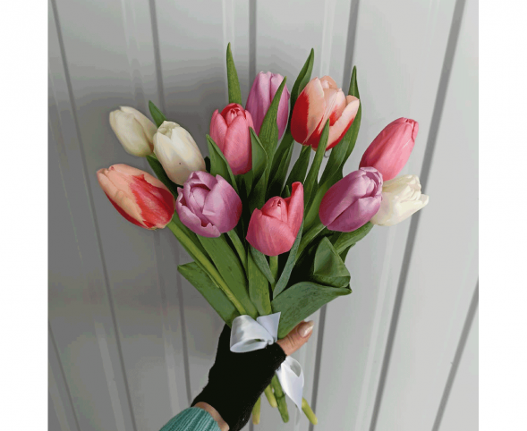 11 тюльпанов цвета микс, лента в Приморском
