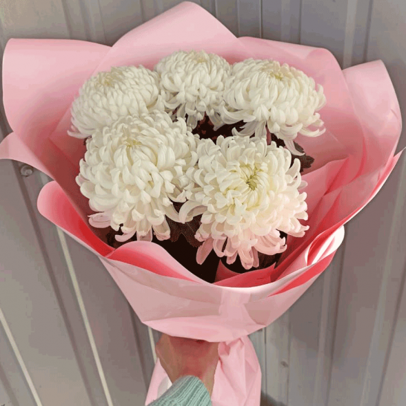 Букет 5 одноголовых хризантем в Приморском