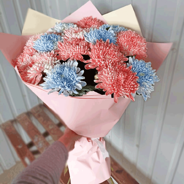 15 одноголовых хризантем микс в Приморском