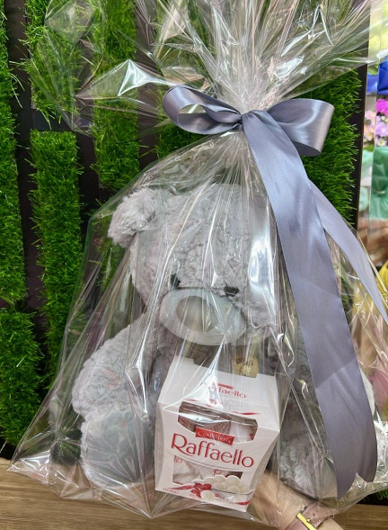 Плюшевый мишка и Raffaello в Приморском