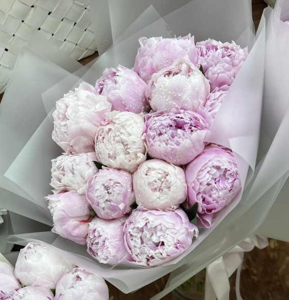 15 пионов Сара Бернар в Приморском